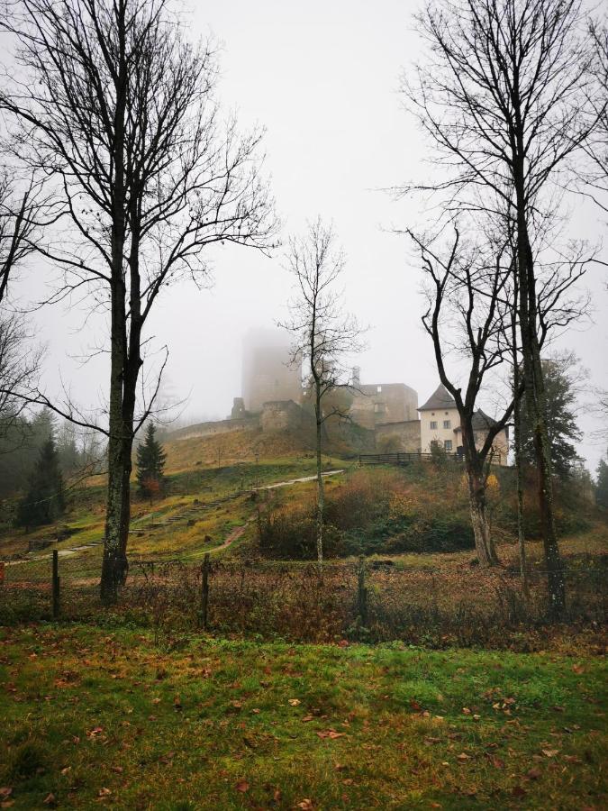 Penzion Landštejnský dvůr Slavonice Exteriér fotografie